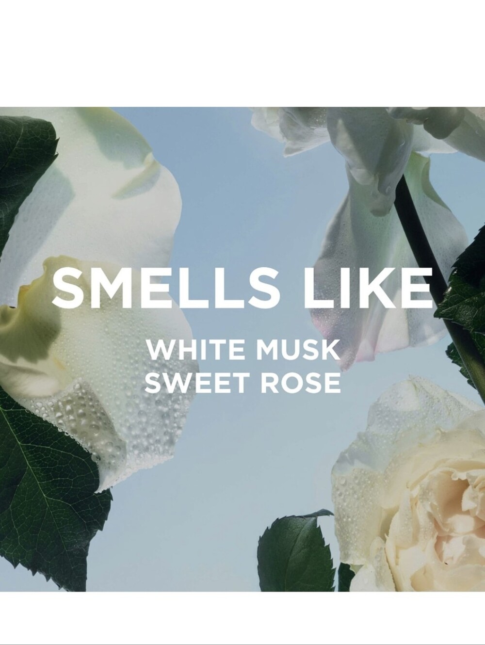 by rosie jane ROSIE eau de parfum, 10ml, NIB - Picture 3 of 6